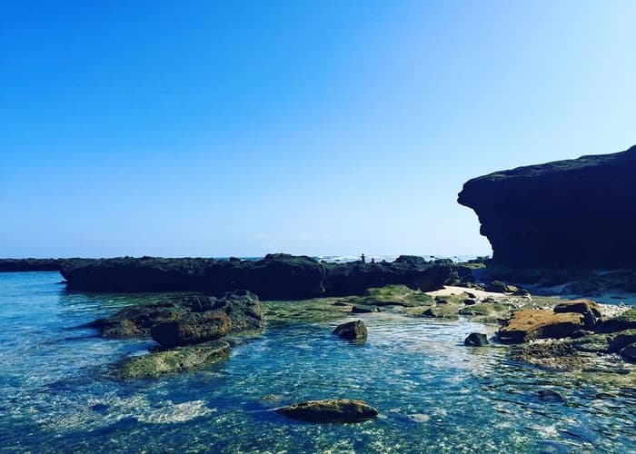 Hình ảnh Đà Nẵng Open Tour - 7