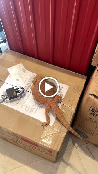 Hình ảnh Mor: CAfe MAtcha Trà - 2