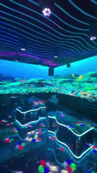 Hình ảnh Karaoke Fantasy - 9