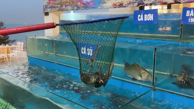 Hình ảnh Nhà hàng hải sản Đại Hương Biển cơ sở 2 - 6