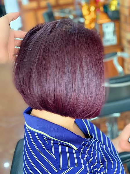Ảnh bìa Salon hải an
