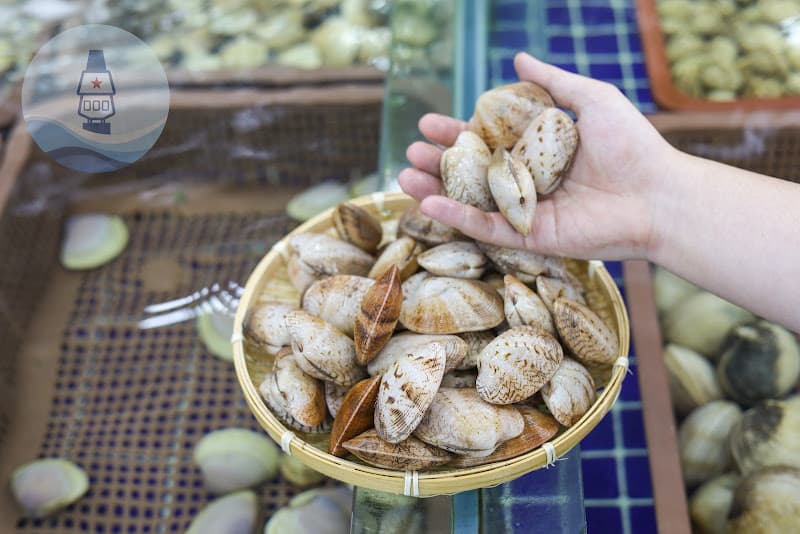 Hình ảnh Hải Sản Hùng Trường Sa - 7