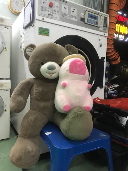 Hình ảnh Giặt sấy Mr Quậy - 4