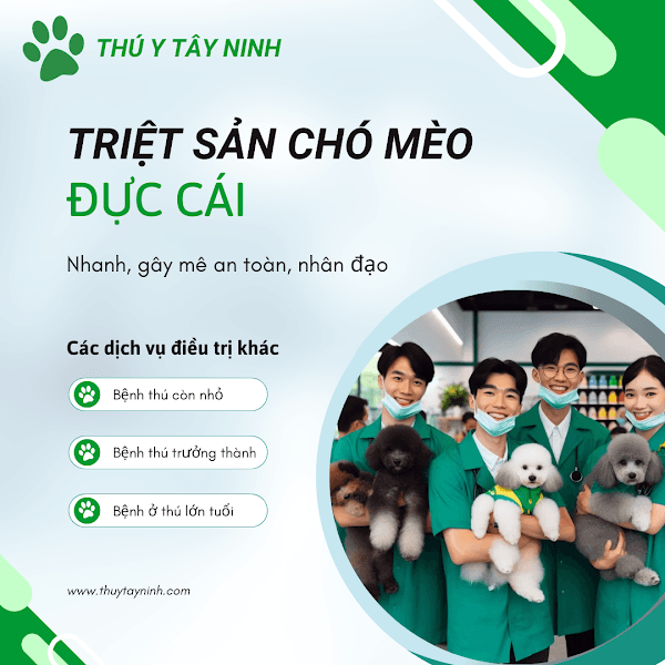 Hình ảnh Thú Y Tây Ninh - CMT8 - 5