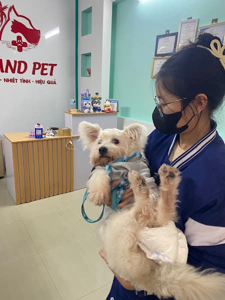 Hình ảnh Island Pet - 9