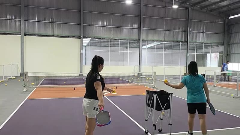 Hình ảnh Cây Gõ Pickleball - 2