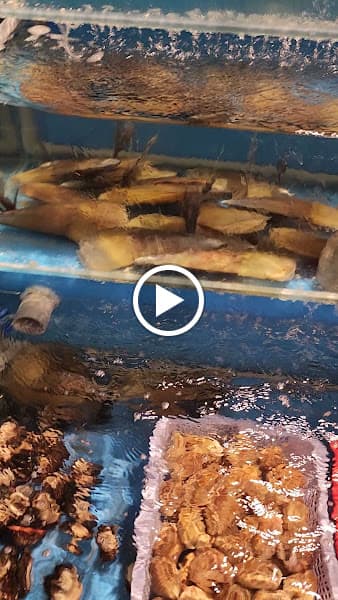 Hình ảnh Quán Ốc Chỉ - 4