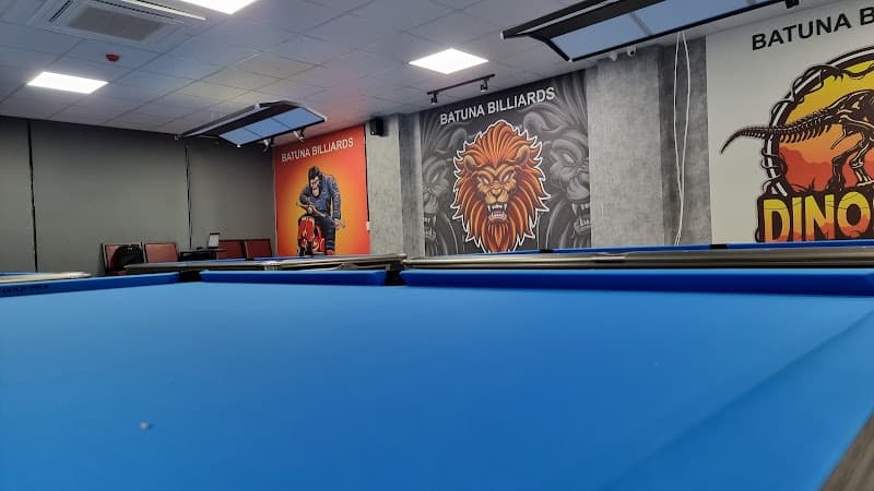 Hình ảnh BI-A BATUNA Club 12 bàn bi-a 22 Định Công Thượng - 6