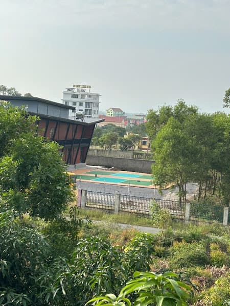 Hình ảnh SÂN PICKLEBALL SÂN BAY - 2