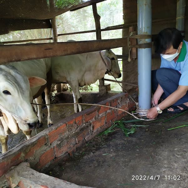 Hình ảnh Phòng khám Thú Y Hoàng Hoa - 4
