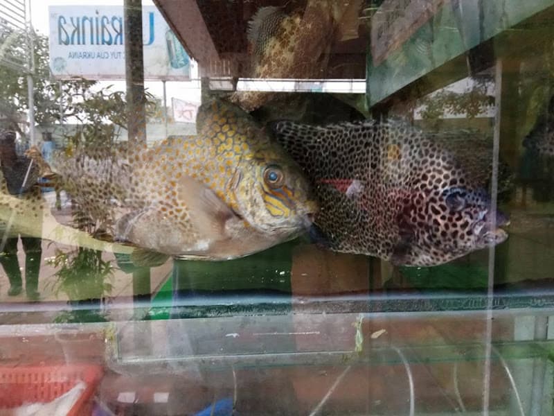 Hình ảnh Nhà hàng Cát Tây - 5