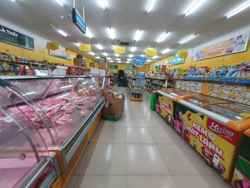 Hình ảnh Siêu thị Bách hoá XANH Chợ Lớn - 6