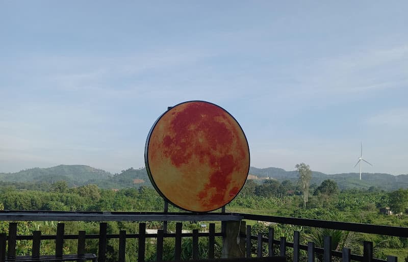 Hình ảnh Windmills coffee - 5