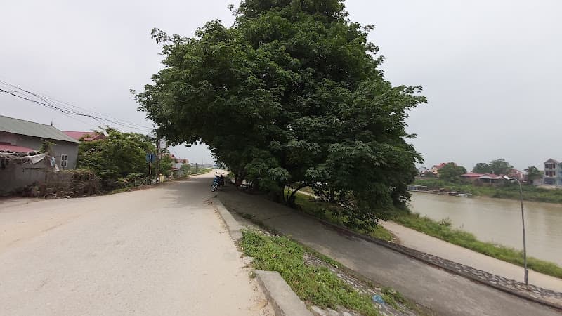 Hình ảnh Bến Đò Sông Như Nguyệt - 3