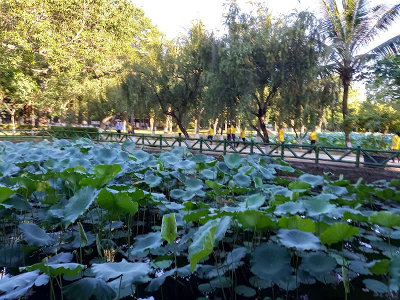 Hình ảnh Làng Sen Quê Bác - 3