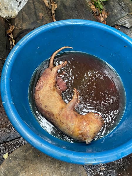 Hình ảnh Xuân Quỳnh TB - 6