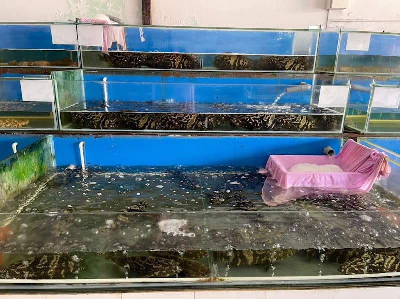 Hình ảnh Vựa Hải Sản Ái Phương - Rạch Giá - 3