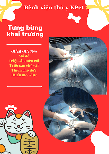Hình ảnh Bệnh viện Thú y K-Pet - 9