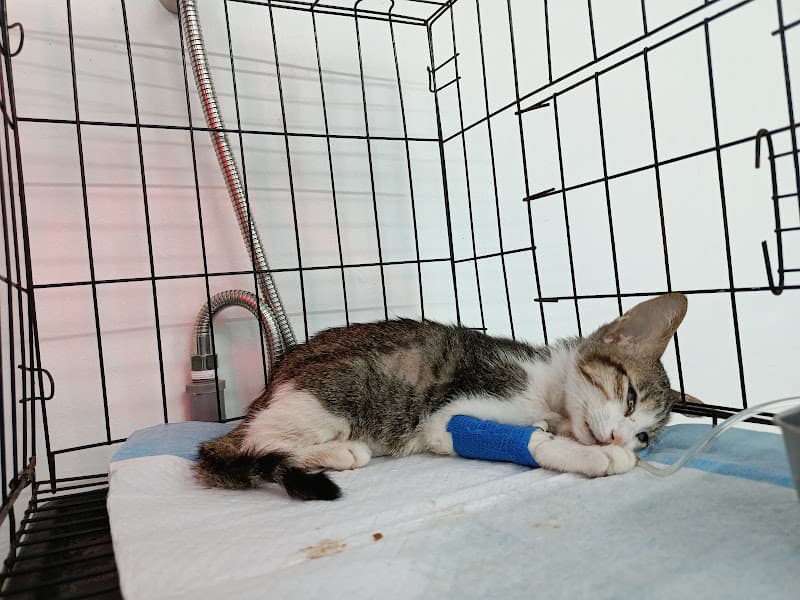 Hình ảnh Bệnh viện thú y Gia Kiệm - 6