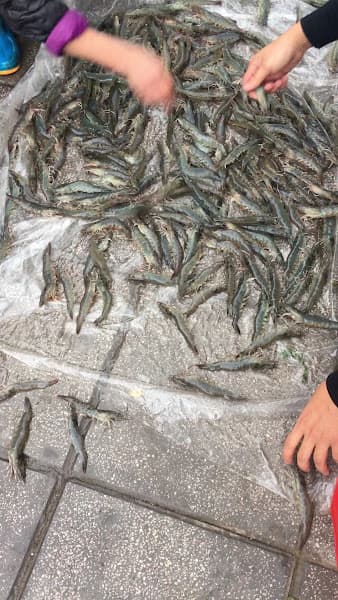 Hình ảnh Hải Sản Quảng Ninh Phương Tuệ - 2