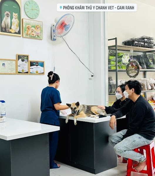 Hình ảnh Phòng Khám Thú Y CHANH VET - CAM RANH - 3