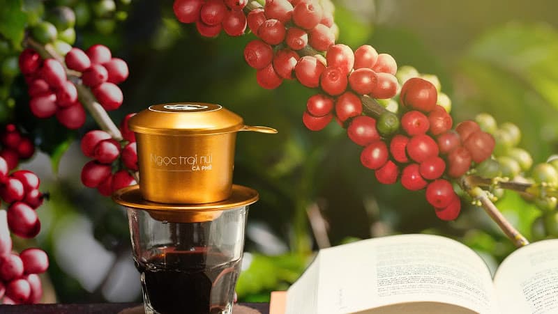 Hình ảnh NGỌC TRAI NÚI Cà Phê - 4