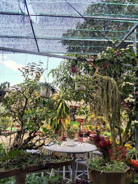 Hình ảnh Cafe Công Viên - 5