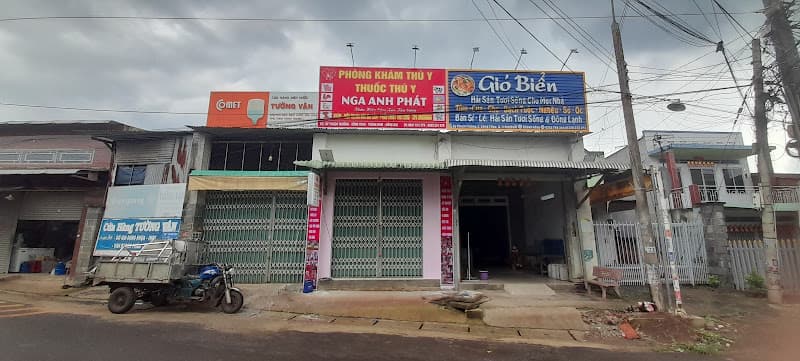 PHÒNG KHÁM THÚ Y THUỐC THÚ Y NGA ANH PHÁT