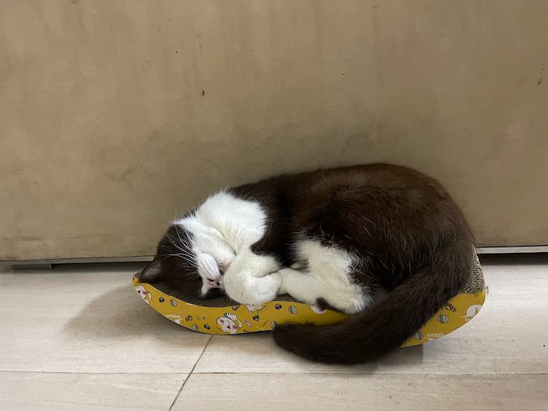 Hình ảnh Laundry giặt ủi Nhi - 5