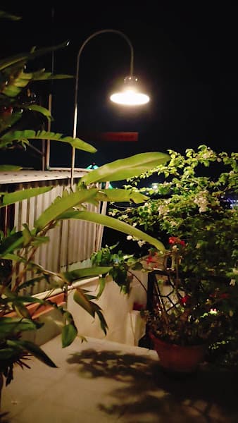 Hình ảnh hạ tôi - không phải mùa hạ trong tôi - 4