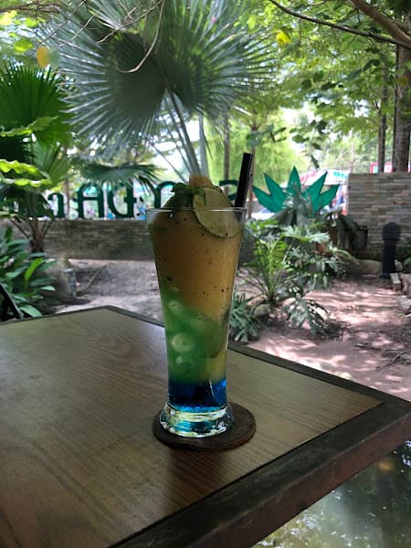 Hình ảnh Cà phê Sen Đá - 3