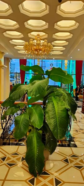 Hình ảnh Karaoke Kinh Đô Paris - 5