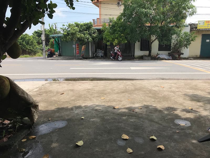 Ảnh bìa Gỏi cá Bình Hiền Kim Sơn