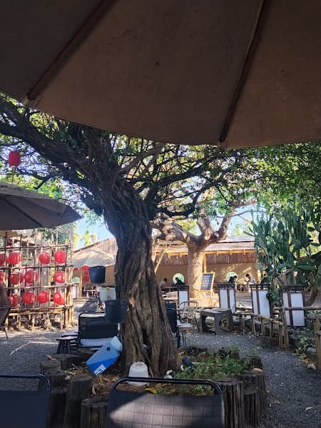 Ảnh bìa Mây coffe