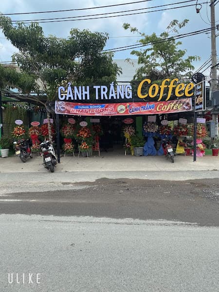 Canh trang coffee