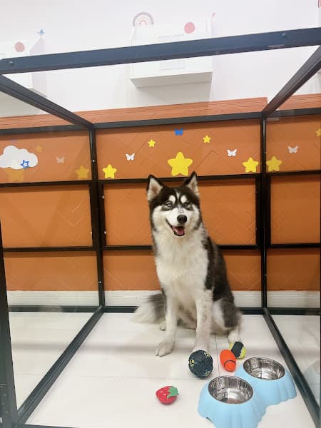 Hình ảnh Cela Paw - 574 Điện Biên Phủ - 3