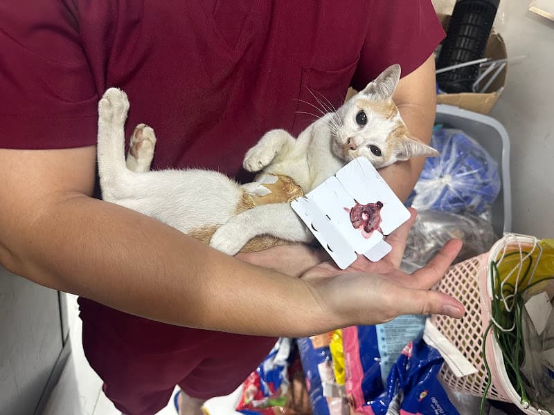 Hình ảnh Phòng khám Thú Y Happy Pets - 4