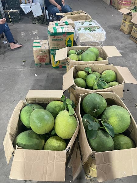 Vựa trái cây Bé Đông Quảng Ngãi