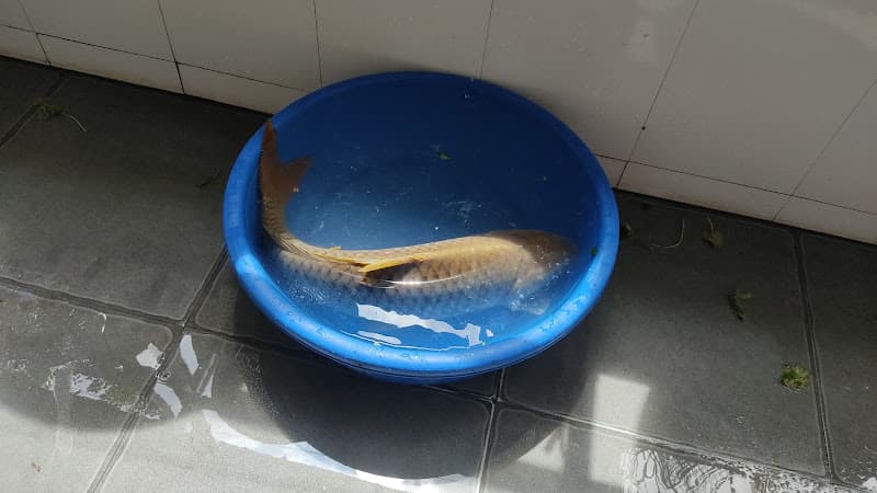 Hình ảnh Tiệm Giặt Là Sấy Khô Linh Huy - 6