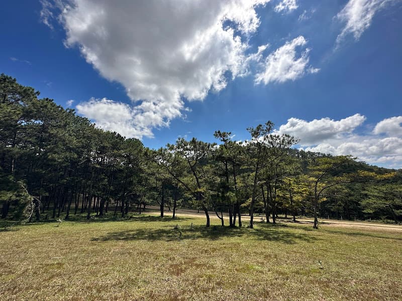 Hình ảnh Đồi Cỏ Hồng Đà Lạt - 5