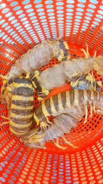 Hình ảnh Nhà hàng Hải Sản Thanh Ngố - 2