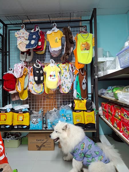 Hình ảnh Mập Petshop - 3