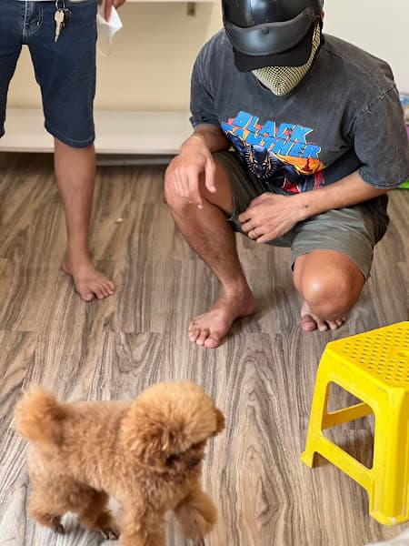 Hình ảnh Kim Lộc Pet - 3