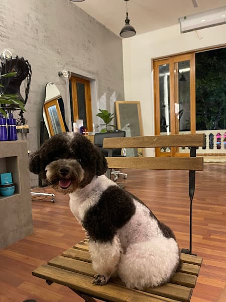 Hình ảnh Ankyo Hair - 2