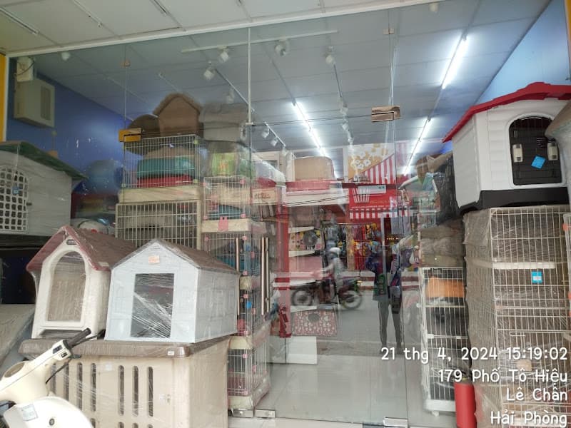 Hình ảnh Pet Mart Hải Phòng - Cửa Hàng Thú Cưng - 3