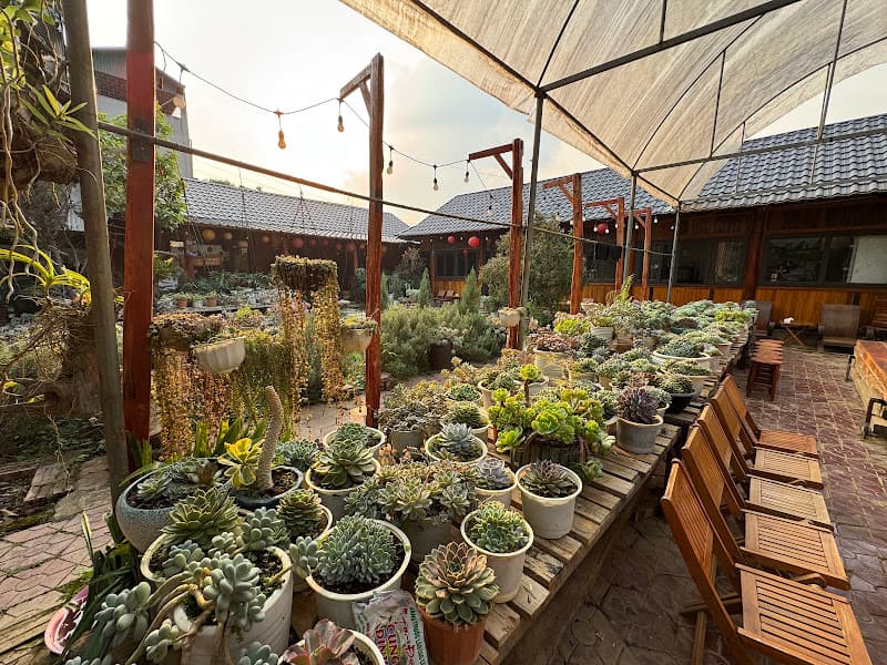 Ảnh bìa Chill Kafe Mai Sơn