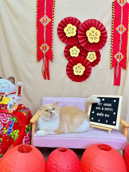 Hình ảnh Pet House - 5