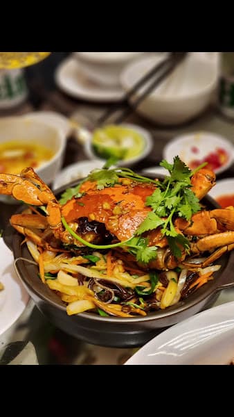 Hình ảnh NAI VÀNG NEW - 5