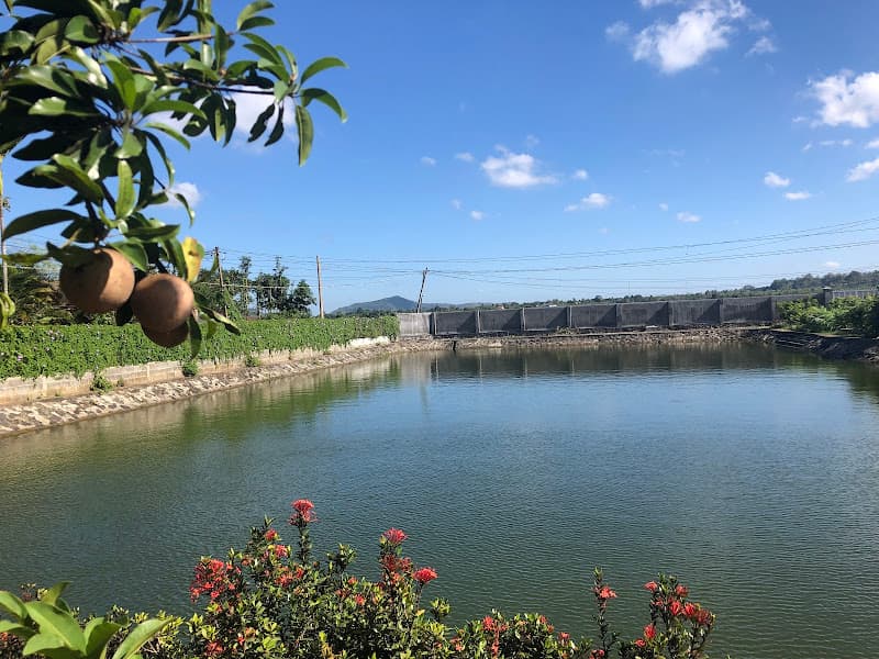 Hình ảnh Yến Sào và Hồ Cá Ông Bảy - 5