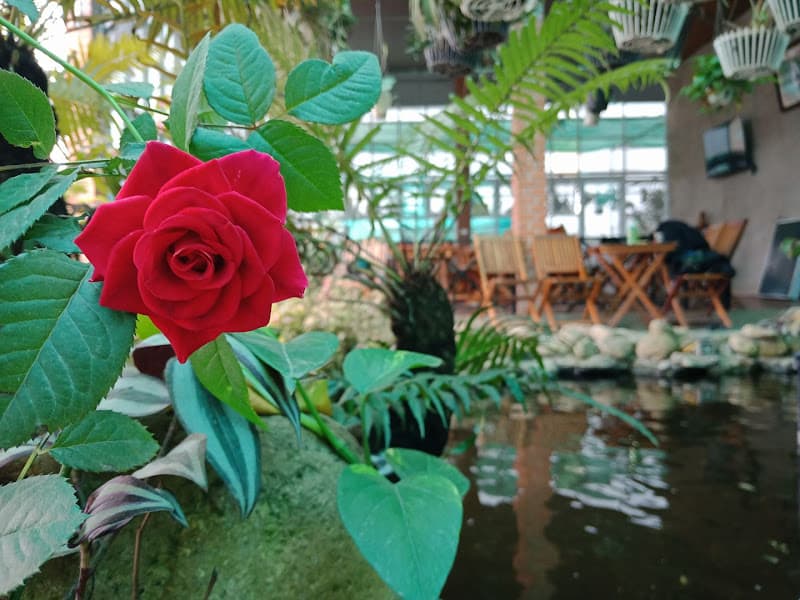 HT Quê Choa Cafe & Karaoke